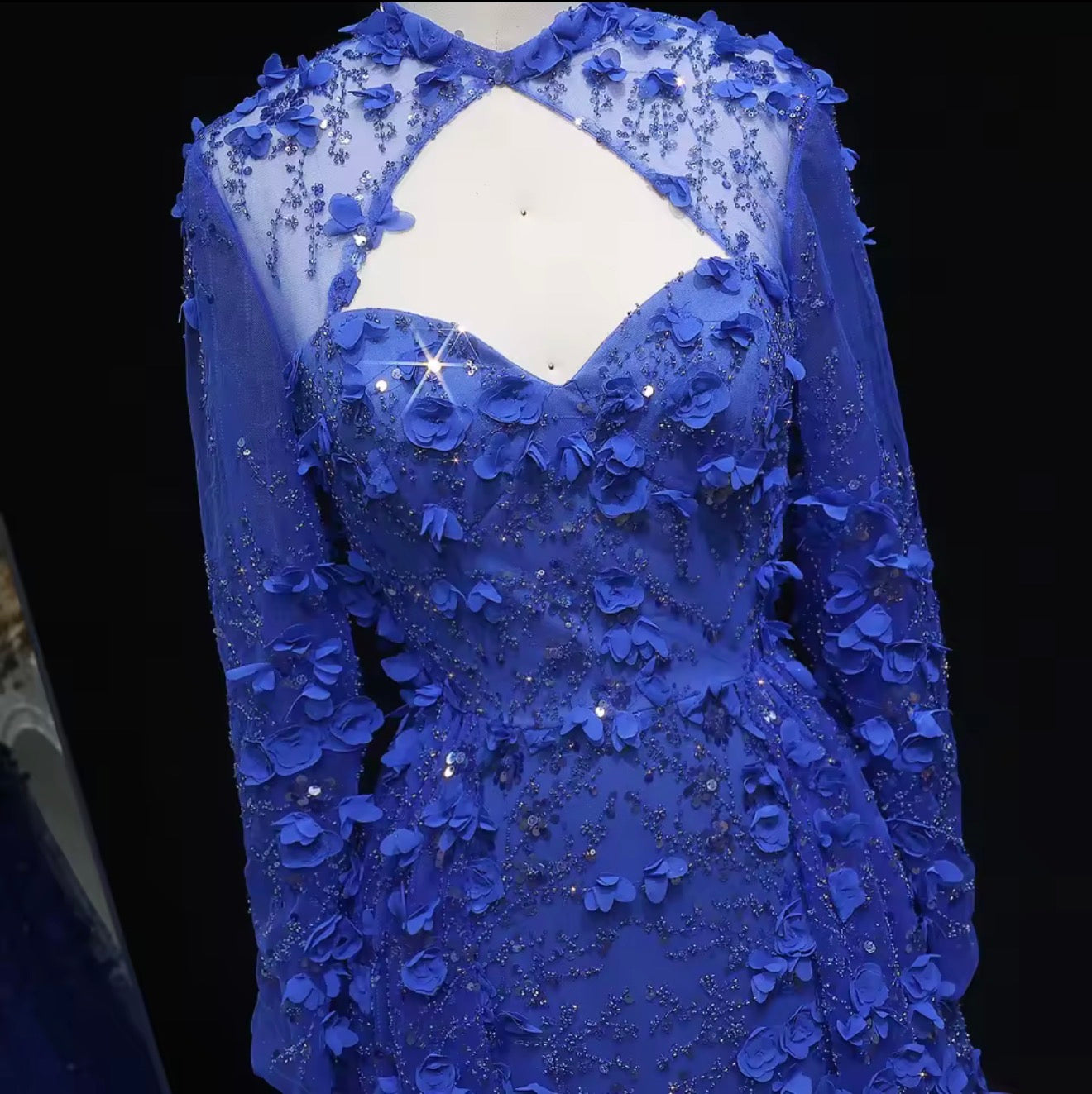 Elegant Royal Blue Mermaid Evening Dress 3D Flowers Overskirt Guest Wedding Ball Gown
